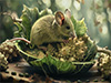 Romanesco mouse