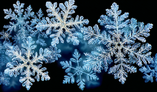 fractal snowflakes